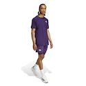 Tricou pentru bărbați adidas  Tennis Pro Climacool+ FreeLift T-Shirt Aurora Plum