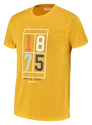 Tricou pentru bărbați Babolat  Exercise Vintage Tee Men Saffron Heather