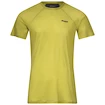 Tricou pentru bărbați Bergans  Floyen Wool Tee Green XL