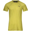 Tricou pentru bărbați Bergans  Floyen Wool Tee Green XL