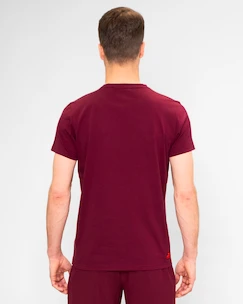 Tricou pentru bărbați BIDI BADU  Protected Leafs Chill Tee Bordeaux M