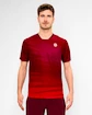 Tricou pentru bărbați BIDI BADU  Protected Leafs Tee Bordeaux