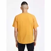 Tricou pentru bărbați Craft  PRO Trail SS