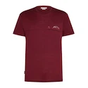 Tricou pentru bărbați Icebreaker Merino 150 Tech Lite SS T Sing Li Cmp Port XL