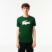 Tricou pentru bărbați Lacoste  Big Logo Core Performance T-Shirt Green/White