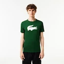 Tricou pentru bărbați Lacoste  Big Logo Core Performance T-Shirt Green/White