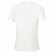 Tricou pentru bărbați Mizuno  Frontier Shadow Polo M White