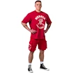 Tricou pentru bărbați Nebbia NEBBIA x OLYMPIA Washed Oversized T-Shirt GOLDEN AGE 790 red