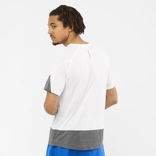 Tricou pentru bărbați Salomon Cross Run SS Tee White/Black