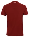 Tricou pentru bărbați Tecnifibre  Club Tech Tee Cardinal