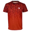 Tricou pentru bărbați Tecnifibre  X-Loop Tee Clay XL