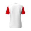 Tricou pentru copii Head  CLUB 25 Tech T-Shirt Boys Red/White