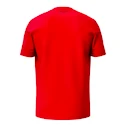 Tricou pentru copii Head  CLUB ORIGINAL T-Shirt Junior RD