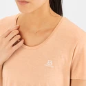 Tricou pentru femei Salomon  Agile SS Tee Sirocco