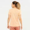 Tricou pentru femei Salomon  Agile SS Tee W Almond