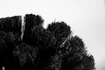 Unelte PEATY'S  Bog Brush